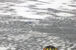 2009_balloontrophy_zell_12.jpg